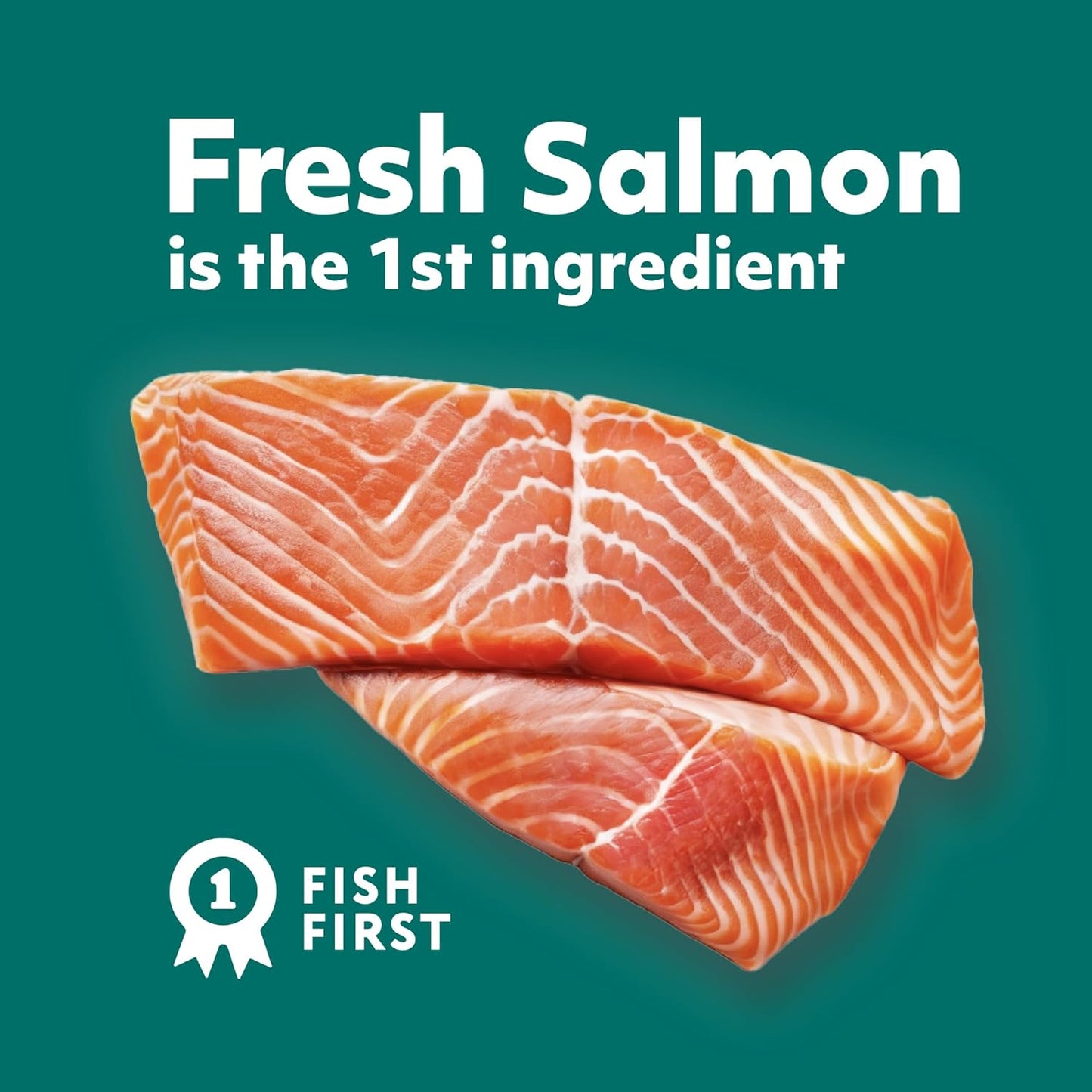 Optimeal Sensitive Stomach Dry Cat Food Recipe for Skin & Digestive Support, Premium Nutrition Made with Natural Ingredients for Adult Cats, Healthy Digestion (3.3 lbs, Salmon & Brown Rice)