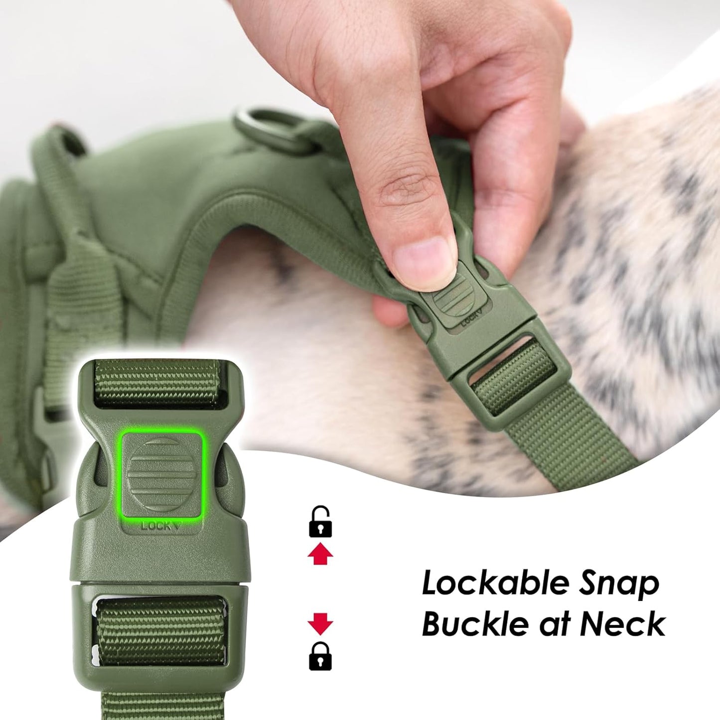 No Pull Dog Harness, Puppy Vest with Front Clip for Small Medium Large Sized Dog (Misty Green,M)