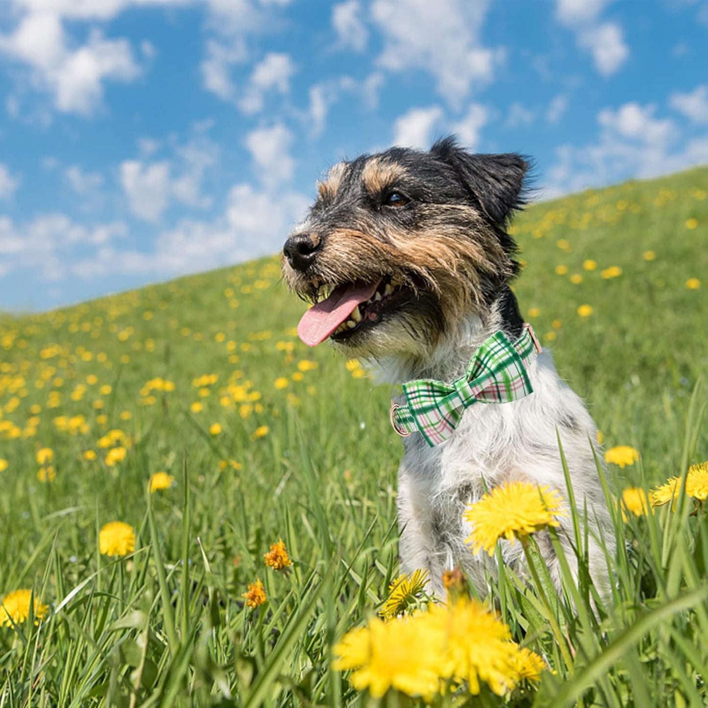 Elegant little tail Dog Collar with Bow - Pink with Green Plaid Boy or Girl Dog Collar Cute Bowtie Pet Collar Adjustable Dog Collar for Small Puppy
