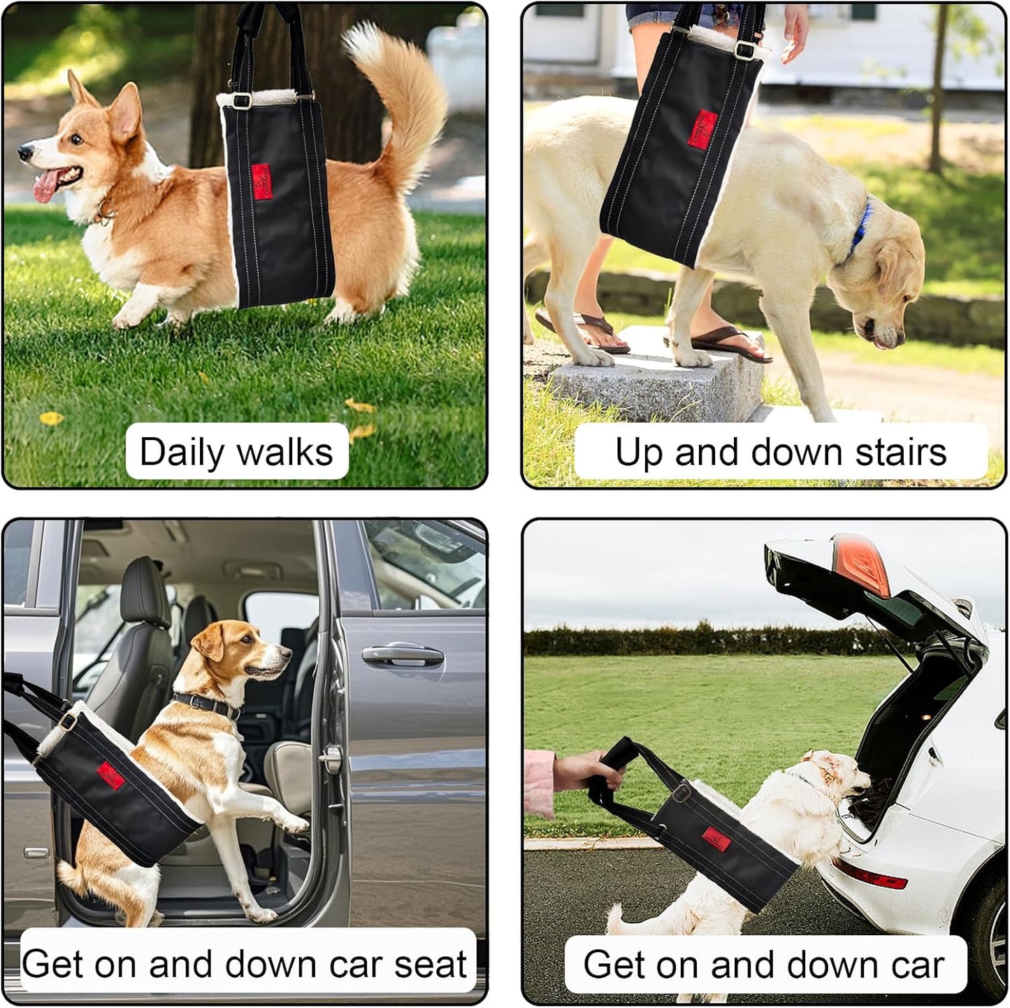 Dog Lift Harness - Adjustable Sling for Rear Legs with Soft Support for Senior, Injured, Disabled Dogs After ACL Surgery - Helping Pets with Canine Aid and Rehab Support (M)