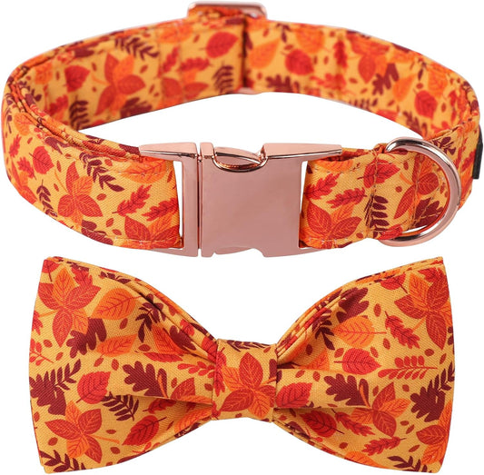 Lionet Paws Dog Collar with Bowtie - Cute Cotton Adjustable Fall Bowtie Dog Collar with Metal Buckle for Small Medium Large Dog Girl Boy Gift, XS, Neck 8-12in