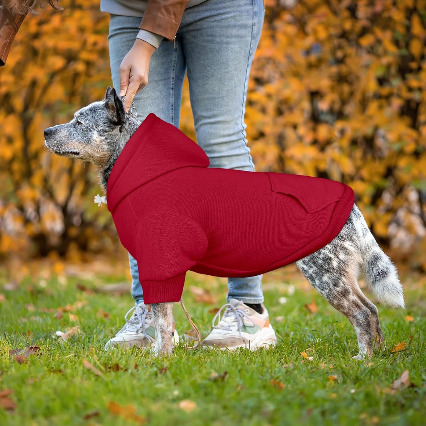 Dog Sweaters for Large Dogs Dog Hoodie Pet Sweater Solid Soft Brushed Fleece Pet Clothes Hoodie Sweatshirt with Pocket(Red-XL)