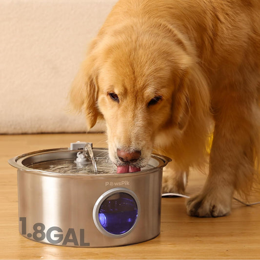 Ultra-Quiet Stainless Steel Dog Water Fountain, 1.8-gal