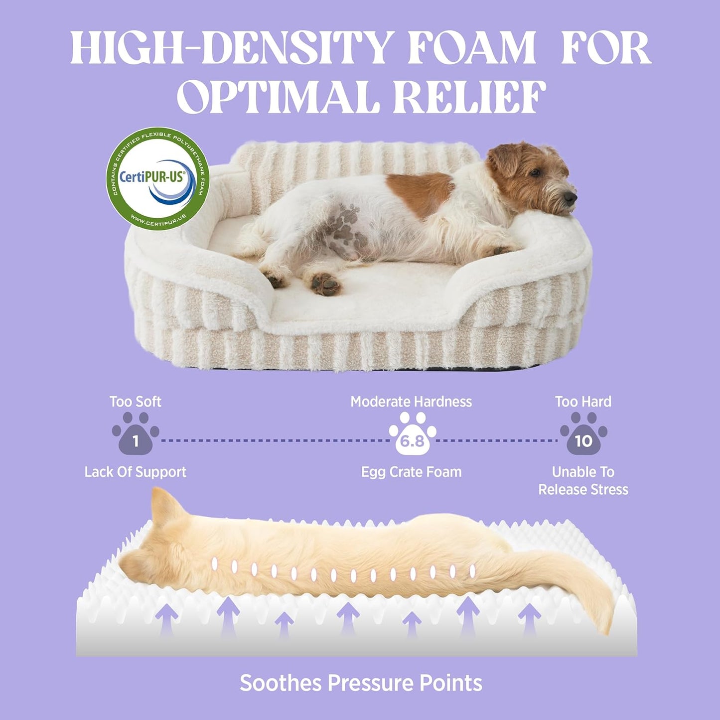 LE SURE Cute Dog Beds Large Sized Dog, Orthopedic Waterproof Large Pet Bed with Sides, Non-Slip Bottom and Egg-Crate Foam Pet Couch Sofa with Washable Removable Cover, Beige
