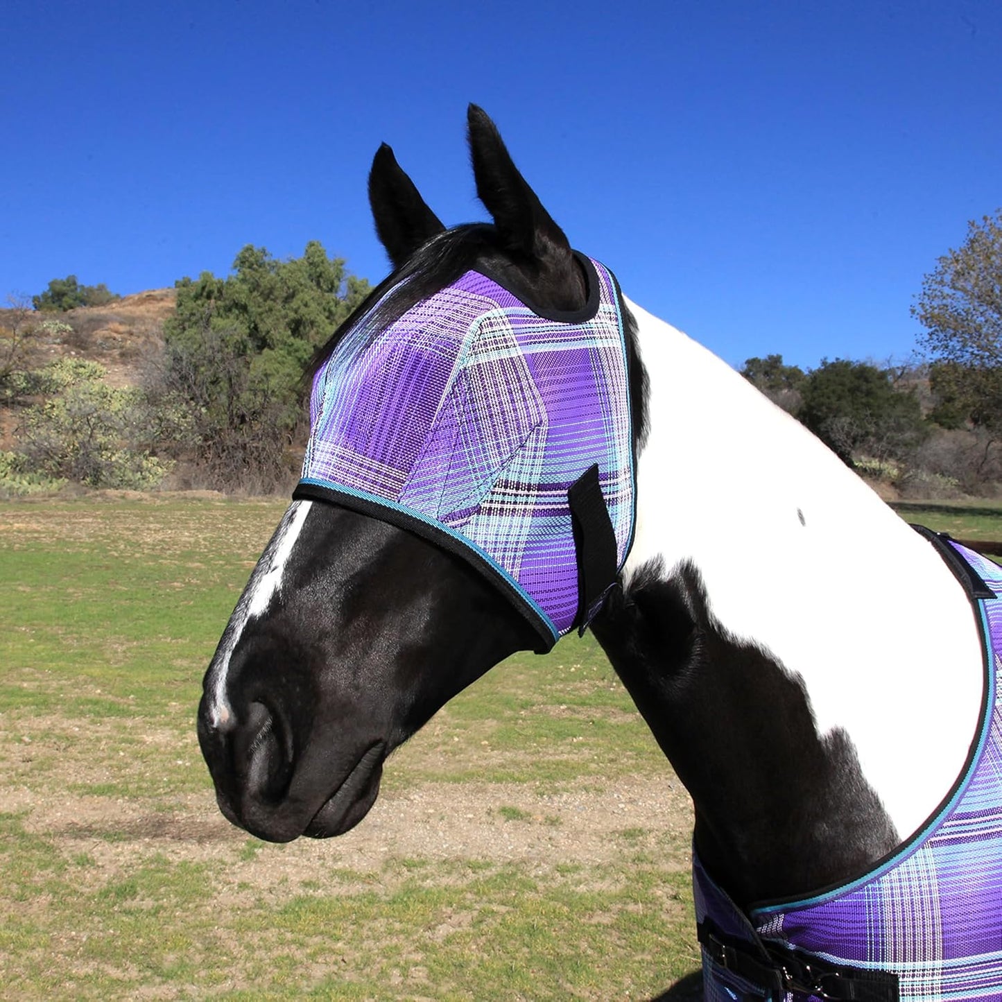 Kensington Fly Mask Web Trim Protects Horses Face and Eyes from Bites and Sun Rays While Allowing Full Visibility Ears and Forelock Able to Come Through The Mask, Large, Lavender Mint