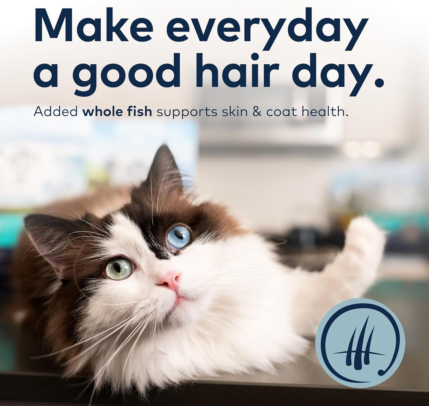 ZIWI Peak Steam & Dried Cat Food – Beef w/Southern Blue Whiting Fish - High Protein, Skin & Coat Health, Low Carb, for All Life Stages (28.8oz)