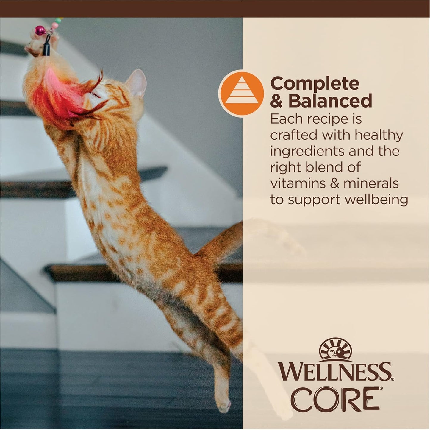 Wellness CORE Tiny Tasters Minced Adult Wet Cat Food, Natural, Protein-Rich, Grain Free, 1.75-Ounce Pouch, 12 Pack, (Chicken)