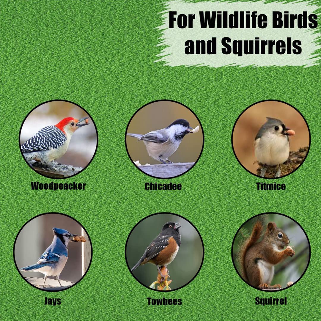 Old Potters Wildlife Shelled Peanuts, 5 lbs for Birds, Squirrels and Wildlife. USA Grown Non-GMO Raw Shelled Peanuts. Wildlife Grade, Not for Human Consumption.