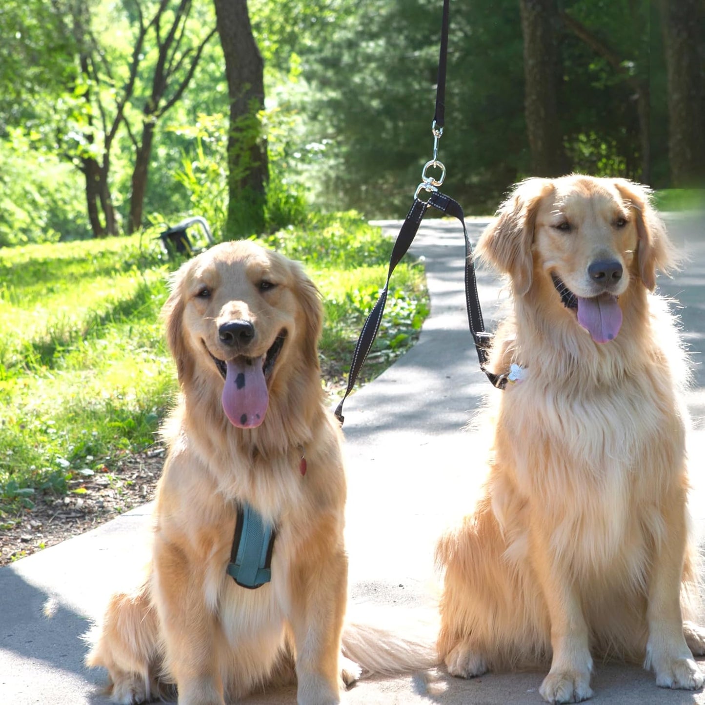 Caldwell's Pet Supply Co. Leash Coupler, Two Dog Leash Splitter to Split Leashes for Walking 2 Dogs, Tangle Free Double Dog Leashes Connector, Adjustable Attachment for Medium or Large Dogs