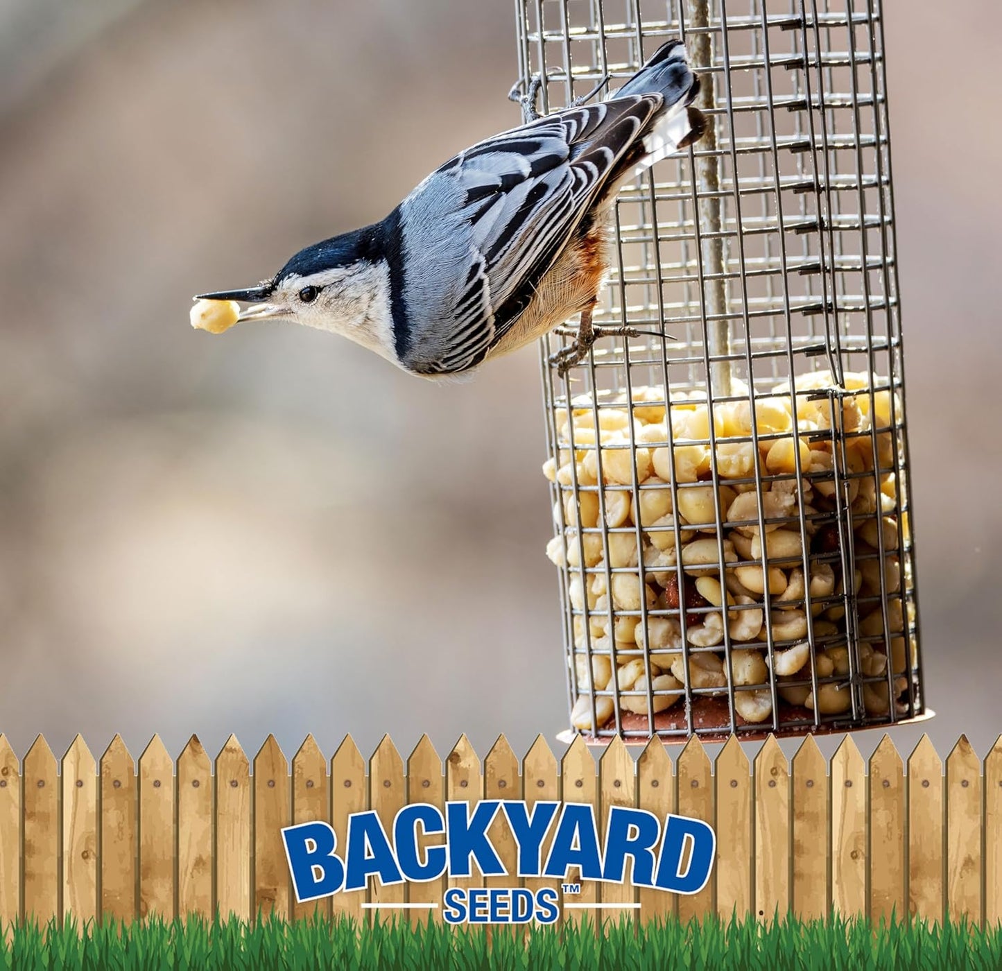 Backyard Seeds Shelled Whole Peanuts for Woodpeckers, Birds, Squirrels & Wildlife – Premium Wild Animal Food - No Skins, No Waste (20 Pounds)