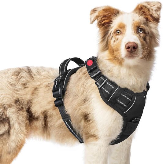 rabbitgoo Dog Harness Medium Sized, No Pull Pet Harness with 3 Buckles, Adjustable Soft Padded Vest with Control Handle, Walking Reflective Pet Vest for Medium Dogs, Black, M