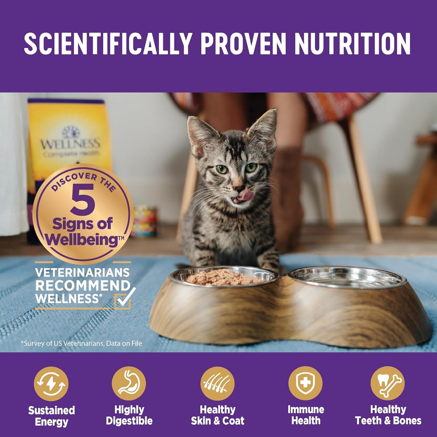 Wellness Complete Health Pate Adult Wet Cat Food, Natural, Protein-Rich, Grain Free, 3 Ounce, 12 Pack, (Chicken & Turkey Favorites Variety Pack)