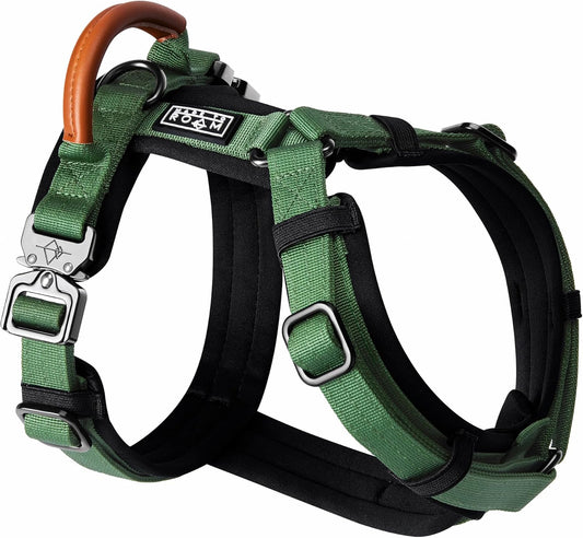 MADE TO ROAM Premium Explorer Harness - Y-Shaped Dog Harness with Adjustable Durable Nylon, Soft Padding, Metal Buckles and Leather Handle for Small, Medium, Large Dogs (Oregon Haze, Size 1)