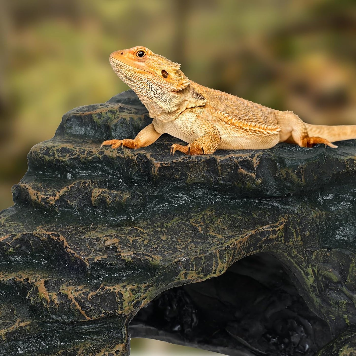 Gecko Tank Acccessories, Turtle Tank Accessories, Perfect Tortoise Hide Fish Tank Decor for Betta, Fish, Snake Hide, Professional Turtle Basking Platform (Medium)