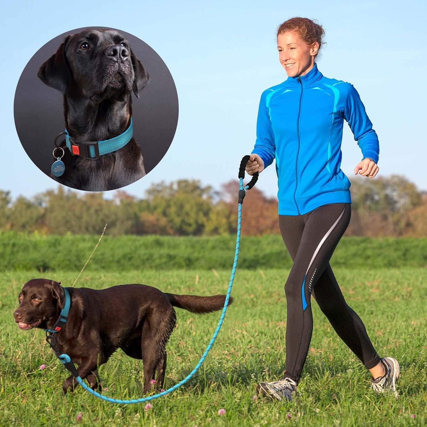 Heavy Duty Dog Leash - Comfortable Padded Handle, 5 ft Long - Dog Leashes for Small Medium Large Dogs (Leash+Collar M Neck 16"-20", Blue)