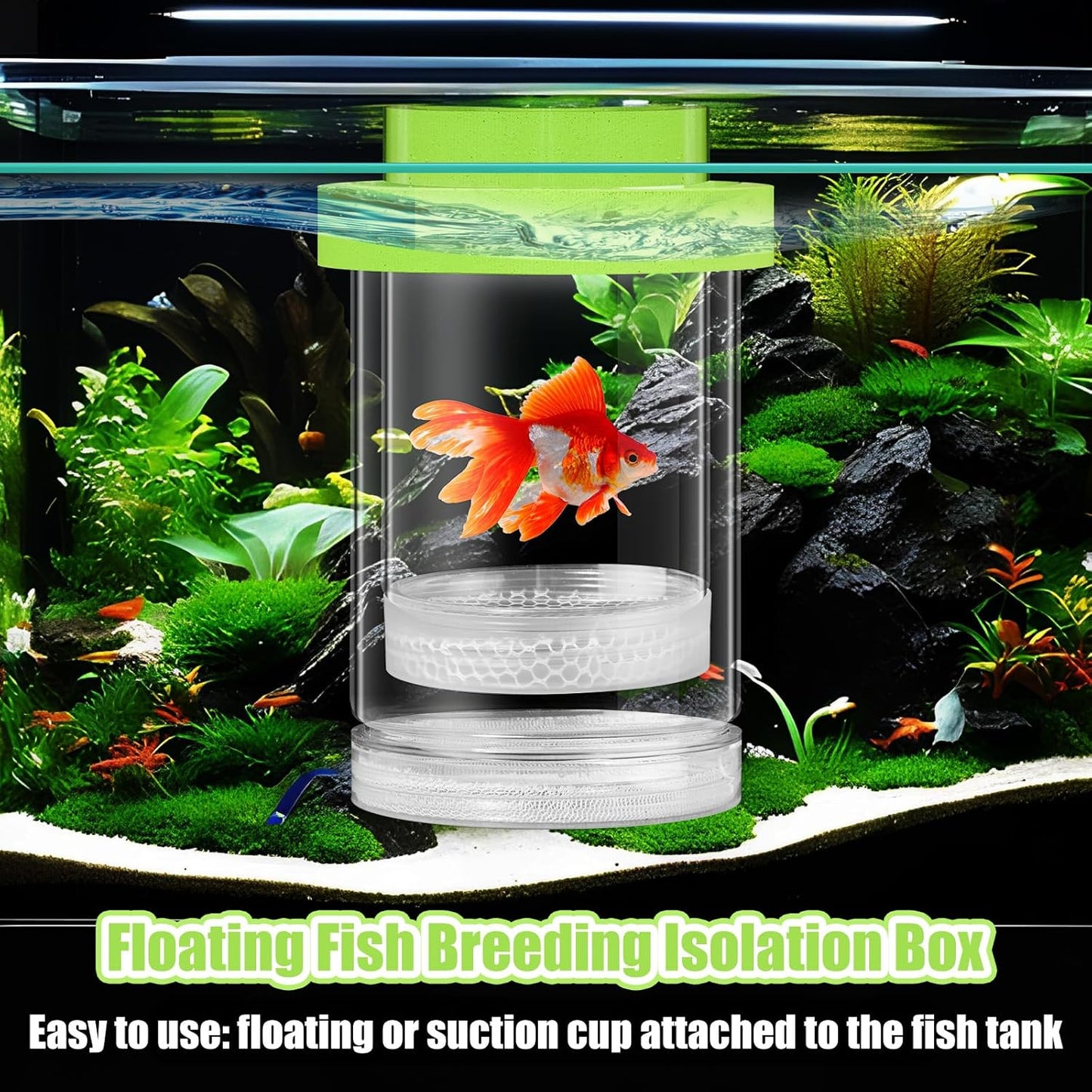 2 Pcs Breeder Box for Fish Tank Aquarium Breeder Separation Net Breeding Box with Suction Cup for Small Fish Shrimp Clownfish Guppy(Green,L)