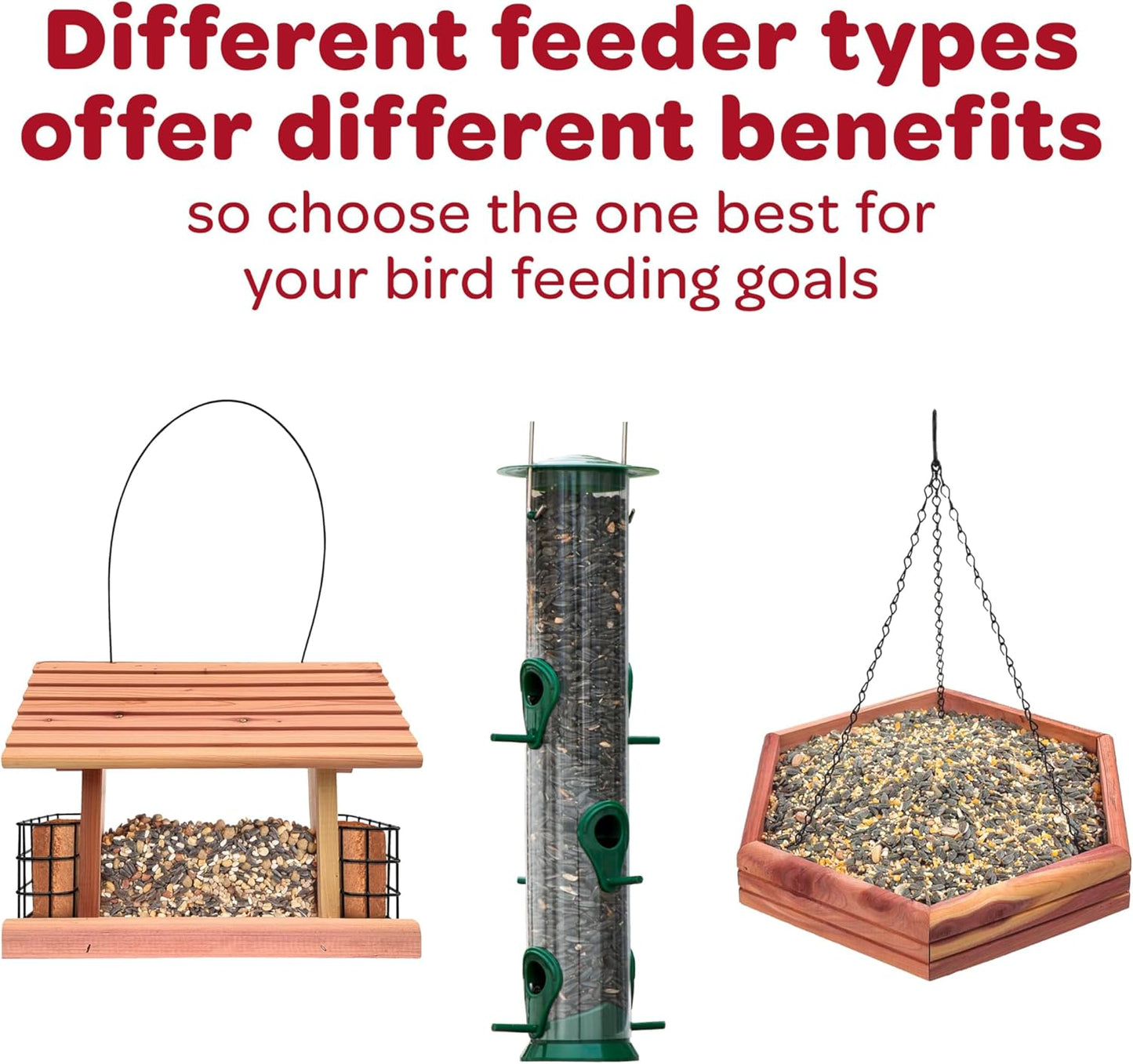 Kaytee Wild Bird Finch Food Blend, 3 lb