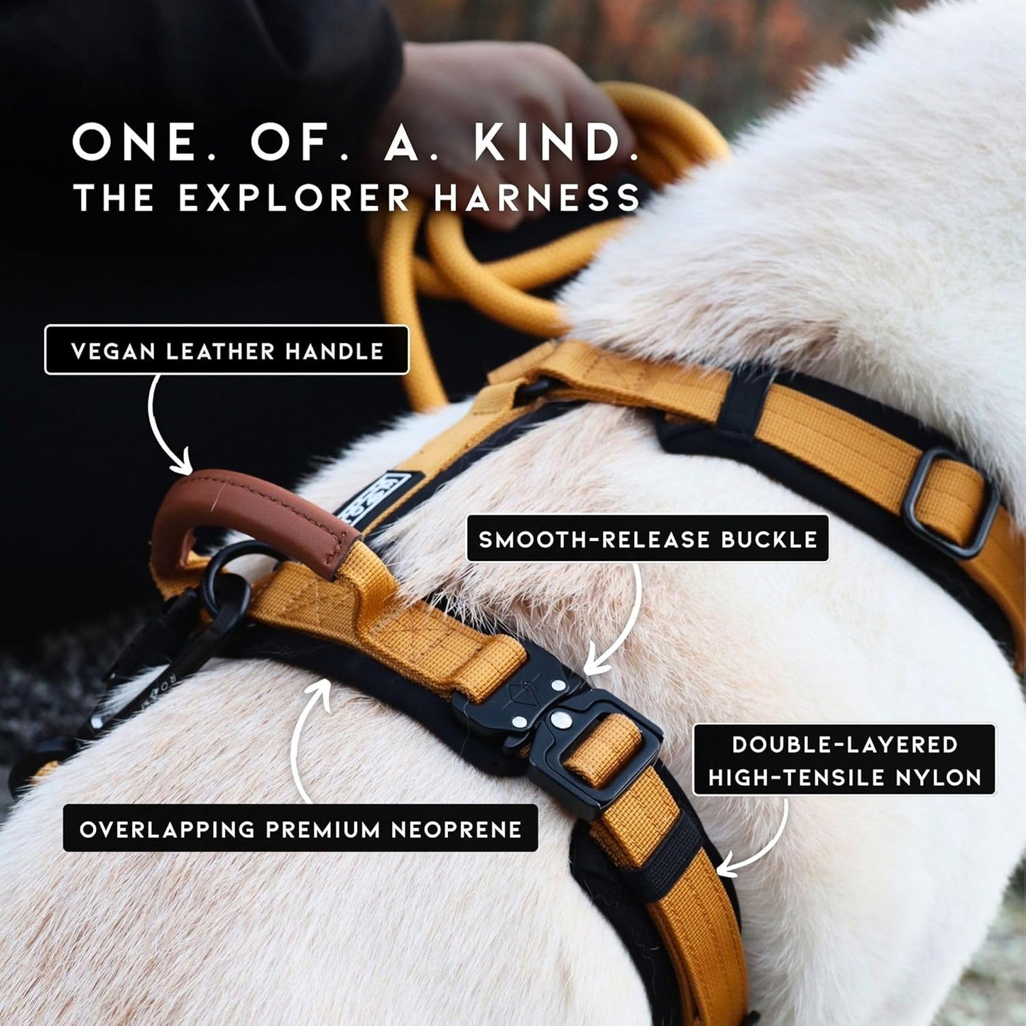 MADE TO ROAM Premium Explorer Harness - Y-Shaped Dog Harness with Adjustable Durable Nylon, Soft Padding, Metal Buckles and Leather Handle for Small, Medium, Large Dogs (Colorado Nightsky, Size 4)