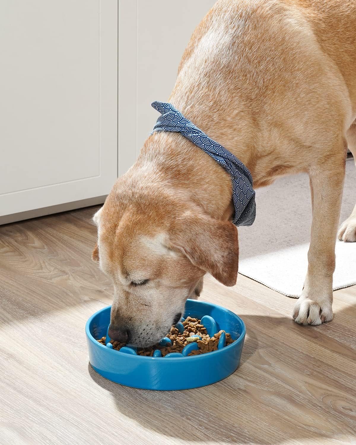 LE TAUCI Slow Feeder Dog Bowls Ceramic, 3 Cups Slow Feeding Dog Bowl Medium Large Breed, Puzzle Pet Dishes,Vortex Blue