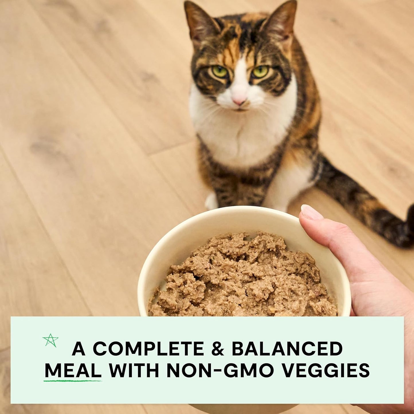 Open Farm Canned Cat Food, Paté for Complete & Balanced Nutrition, Grain-Free and Legume-Free Wet Cat Food, Harvest Chicken Recipe, 2.8oz Cans (Case of 18)