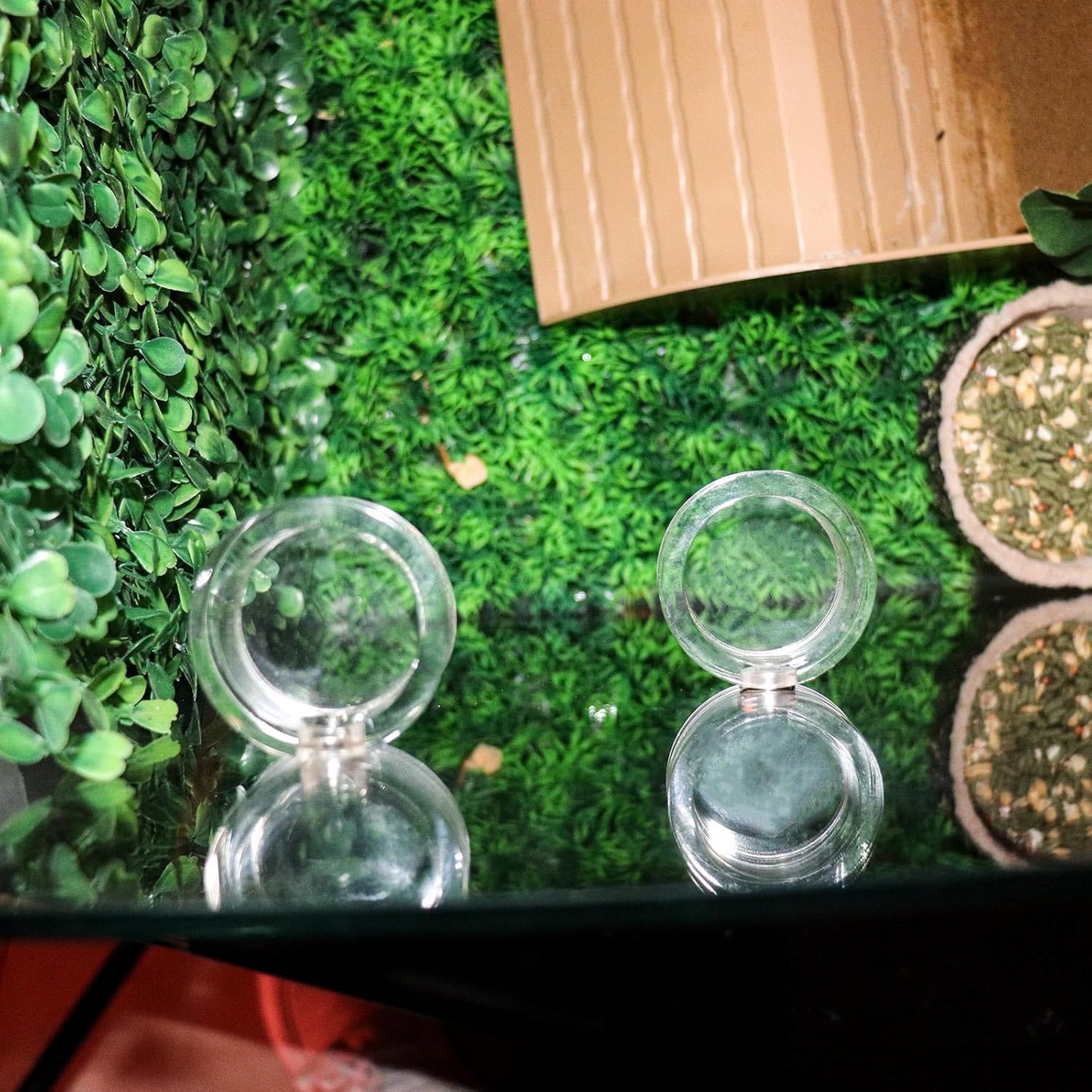 2 Pack Jumping Spider Enclosure Accessories, Leak-Proof Jumping Spider Feeding Dish with Magnet, Acrylic Water Bowl for Jumping Spider, Tarantula, Mantis, Other Small Reptiles or Insects