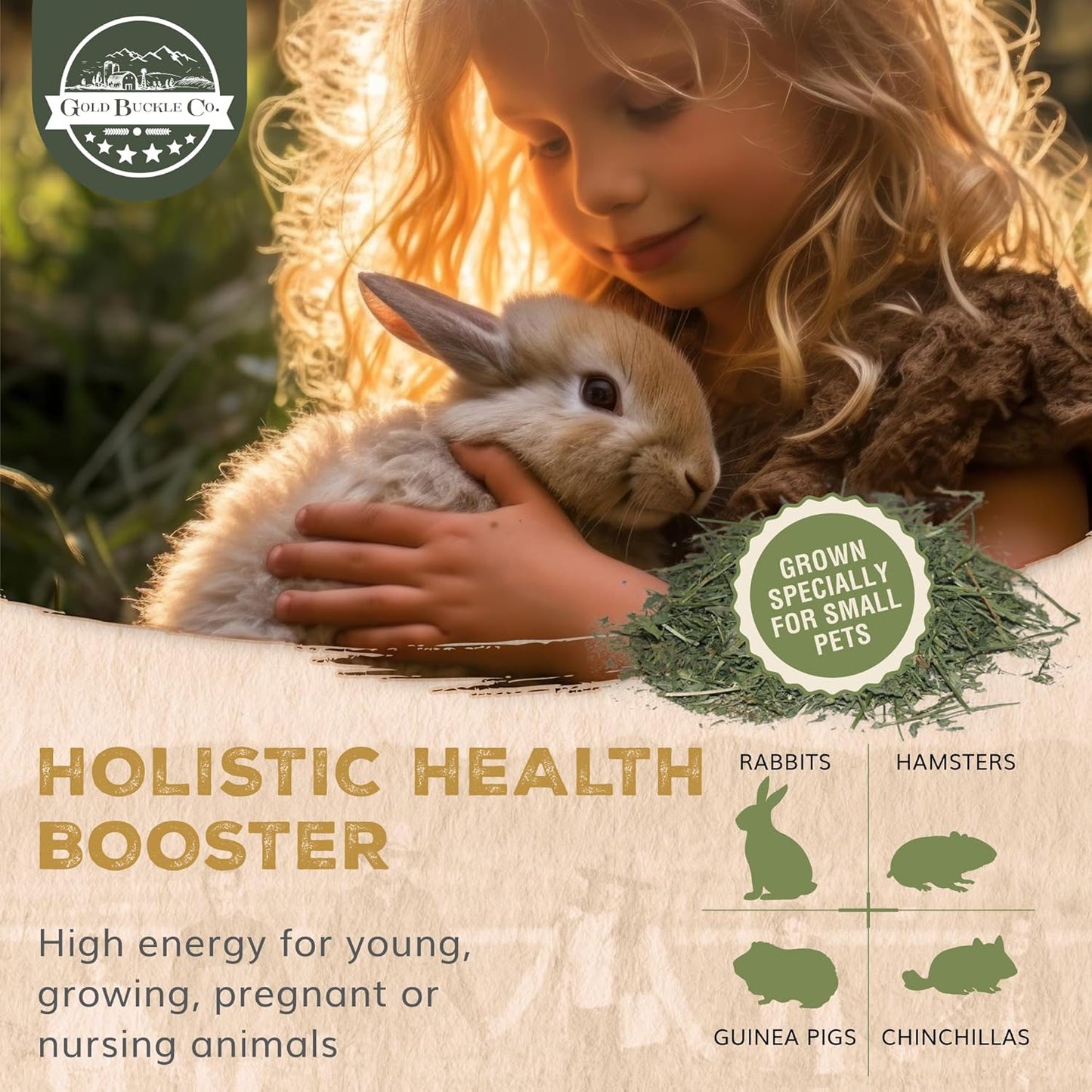 10lb Freshly Dried Organic Alfalfa Hay for Guinea Pigs, Rabbits, Chinchillas, Goats, Hamsters & Ferrets, Small Animal Food Rich in Protein & Fiber, Hand-Selected, Hand sorted, USA Grown