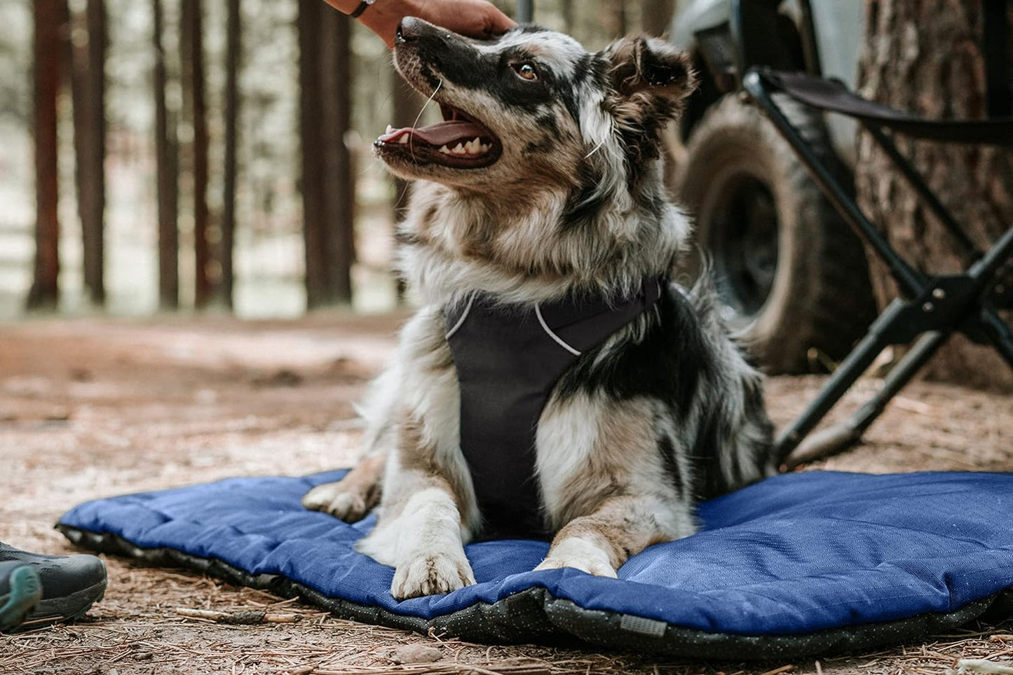 K9 Ballistics Tough Ripstop Dog Crate Pad - Durable & Machine Washable with Non-Skid Bottom and 120-Day Warranty, Fits 42" Wire Crates - Large, Obsidian Black