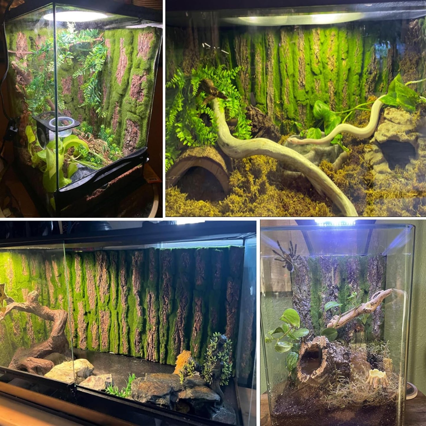 kathson Reptile Terrarium Cork Background,Bearded Dragon Tank Backdrop Wall Decor with Artificial Moss Reptiles Climbing Mat Habitat Cork Bark Decoration for Lizard Snake Gecko Chameleon(4 Pcs)