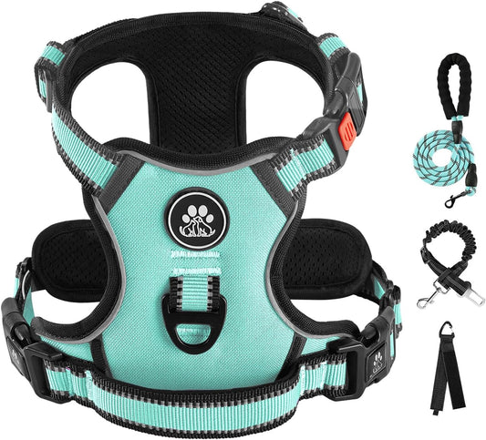 IVY&LANE No Pull Dog Harness with Leash Set, Reflective No Choke Pet Vest,Adjustable Oxford Dog Vest Harness with Easy Control Handle for Large Dogs (Turquoise,L)