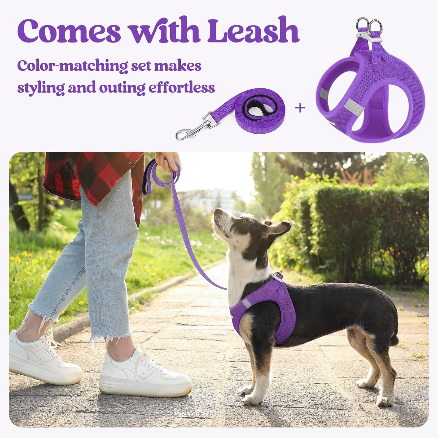 rabbitgoo Dog Harness Small Sized and Leash Set, Step in Soft Light Puppy Vest, Breathable Mesh Pet Harness, Reflective for Outdoor Safe Walking, Purple XXXS