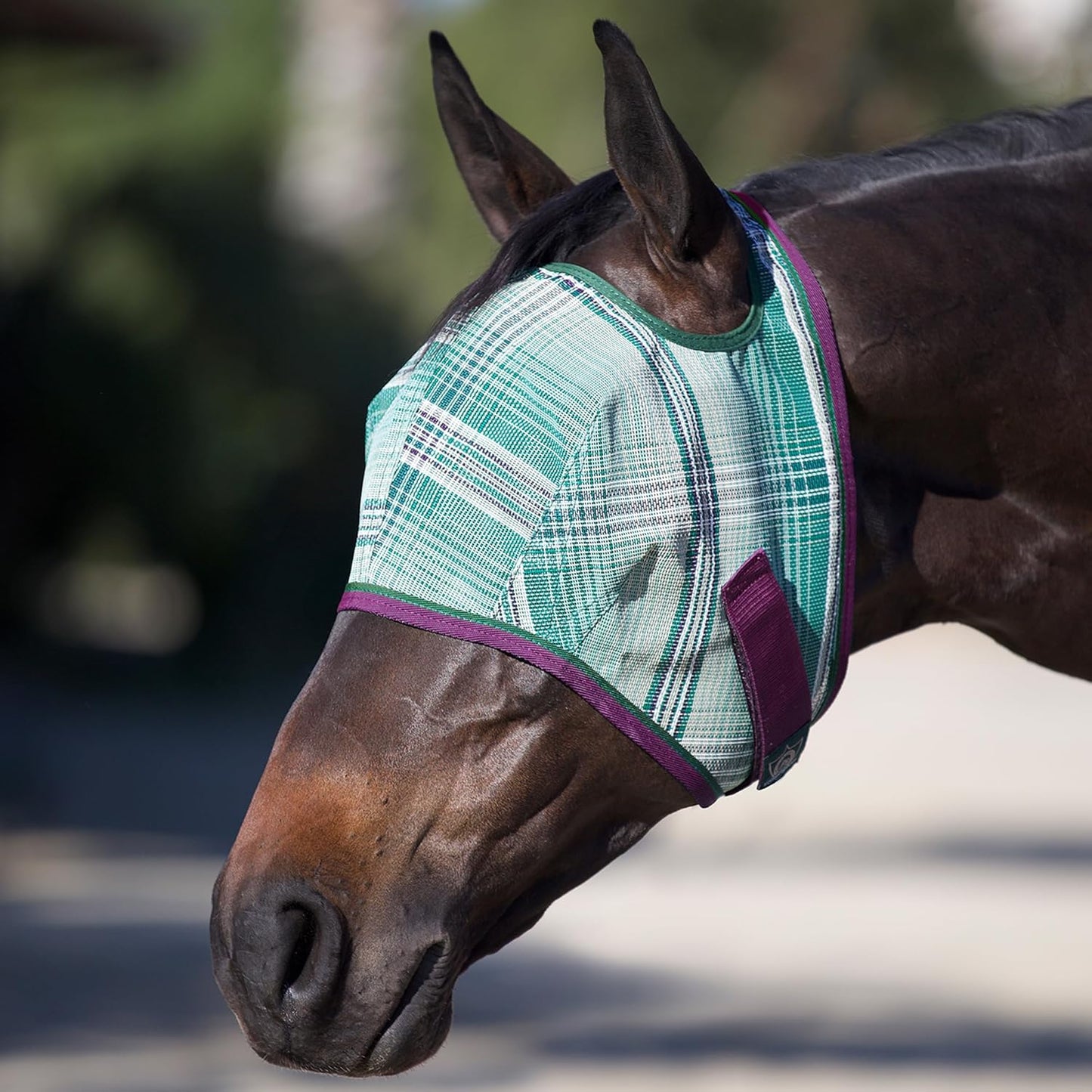 Kensington Fly Mask Web Trim — Protects Horses Face and Eyes from Bites and Sun Rays While Allowing Full Visibility