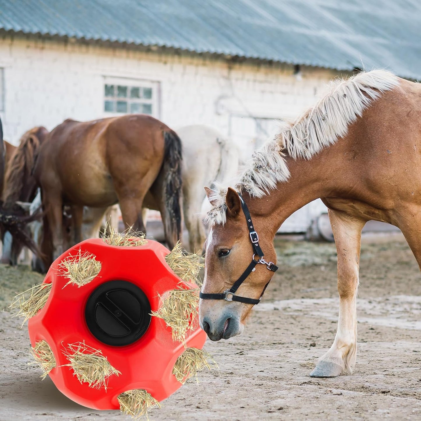 15.75" Hay Ball for Horse with Hanging Strap Slow Feed Horse Treat Ball Extra Large Hanging for Paddock Stall Stable Supplies(Red)