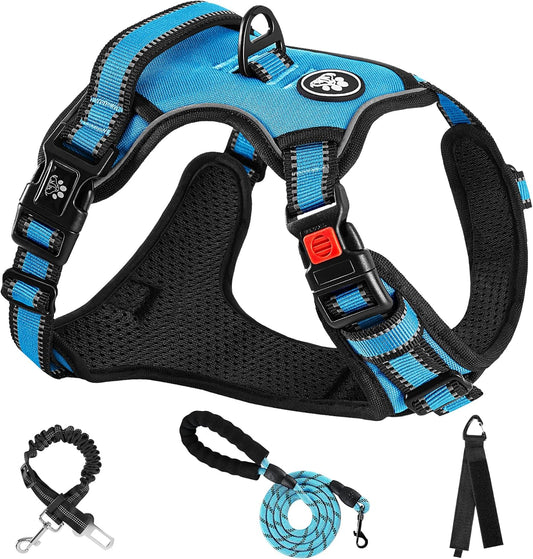NESTROAD No Pull Dog Harness,Adjustable Oxford Dog Vest Harness with Leash,Reflective No-Choke Pet Harness with Easy Control Soft Handle for Small Dogs(X-Small,Blue)