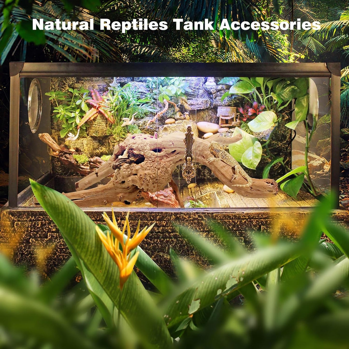 WDEFUN Natural Spiderwood for Aquarium Decor 7-Piece 4''-8'' Long Natural Driftwood Branches for Fish Tank Decorations