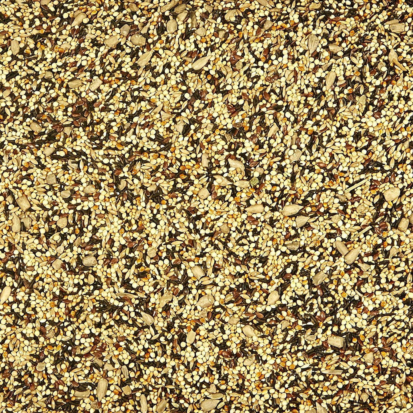 Kaytee Wild Bird Finch Food Blend, 5 lb (Pack of 2)